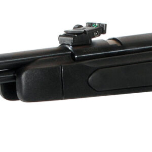 GAMO CFX IGT AIR RIFLE