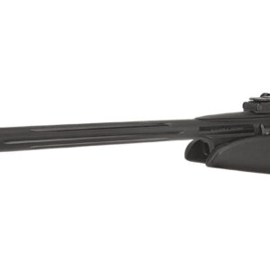 GAMO WHISPER IGT AIR RIFLE